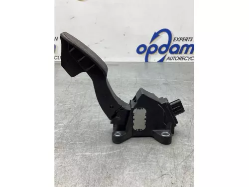 Gaspedaalpositie Sensor-8061693