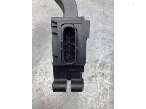 Gaspedaalpositie Sensor-8223764 (21302119)