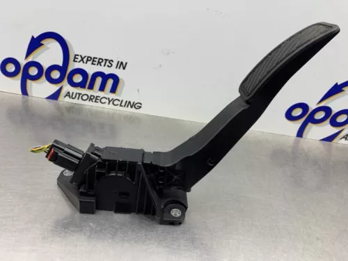 Gaspedaalpositie Sensor-8172399 (21672316)