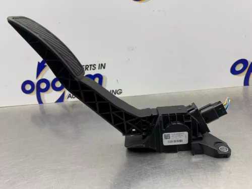 Gaspedaalpositie Sensor-8172399 (21672316)