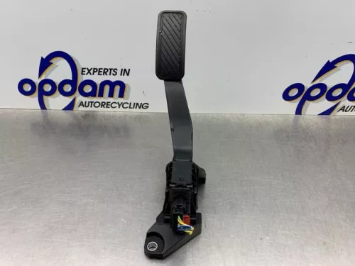 Gaspedaalpositie Sensor-8172399 (21672316)