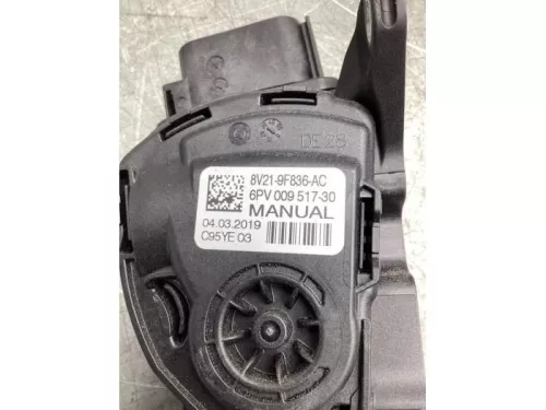 Gaspedaalpositie Sensor-8176082 (20881345)