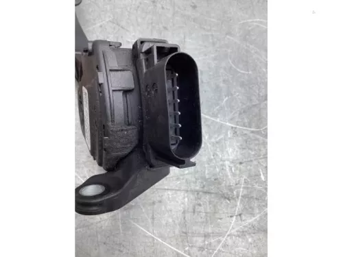 Gaspedaalpositie Sensor-8176082 (20881345)