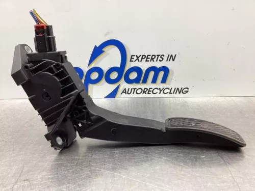 Gaspedaalpositie Sensor-6495926 (17383857)