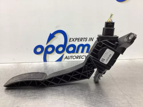 Gaspedaalpositie Sensor-6495926 (17383857)