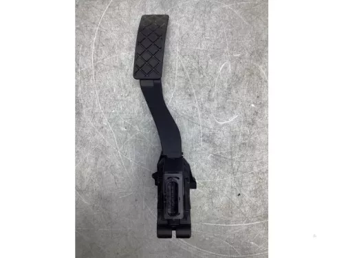Gaspedaalpositie Sensor-6369723 (17934612)