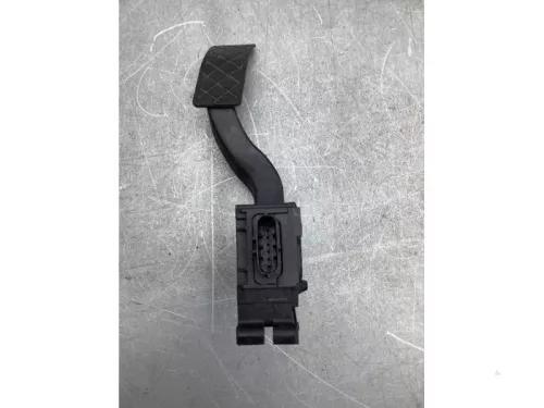 Gaspedaalpositie Sensor-8081217 (20644262)