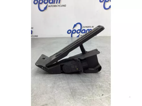 Gaspedaalpositie Sensor-7716508 (19095870)