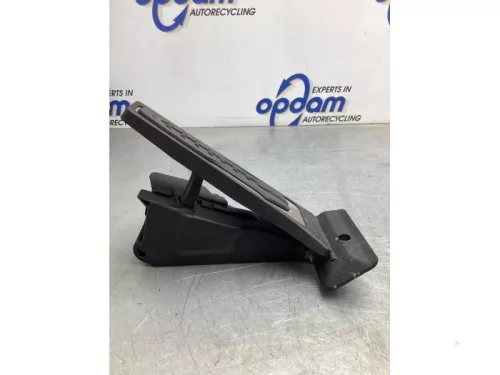 Gaspedaalpositie Sensor-7716508 (19095870)