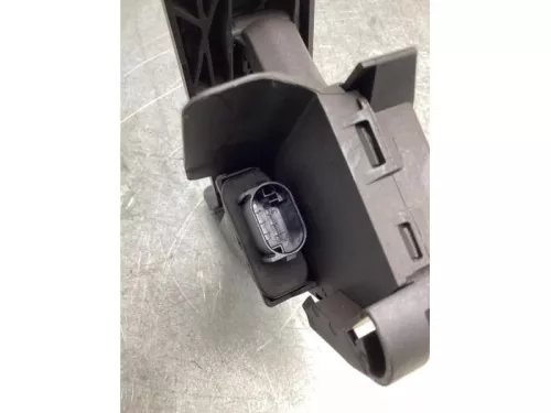 Gaspedaalpositie Sensor-7716508 (19095870)