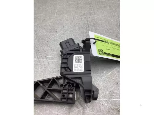 Gaspedaalpositie Sensor-8270114 (22412474)