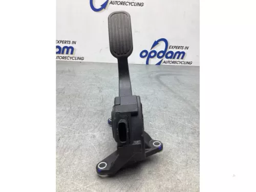 Gaspedaalpositie Sensor-7975380 (18150913)