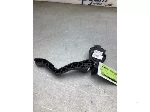 Gaspedaalpositie Sensor-8147073 (22504313)