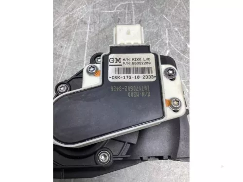 Gaspedaalpositie Sensor-8096926 (20487979)
