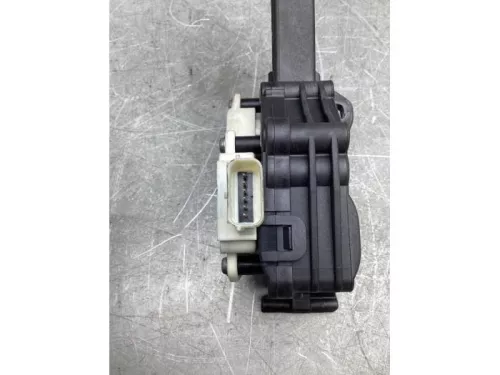 Gaspedaalpositie Sensor-8096926 (20487979)