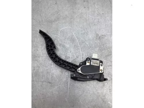 Gaspedaalpositie Sensor-8096926 (20487979)