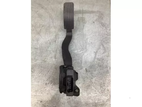 Gaspedaalpositie Sensor-8194780 (21550474)