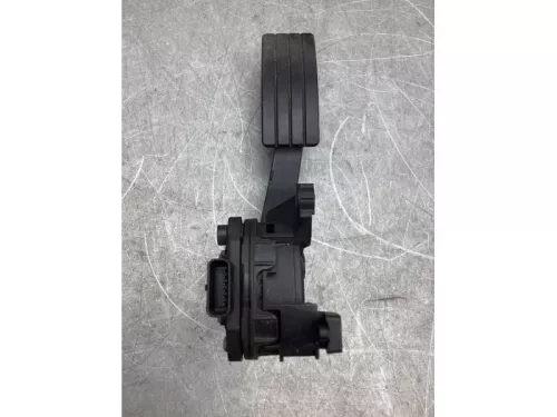 Gaspedaalpositie Sensor-7992531 (19503137)