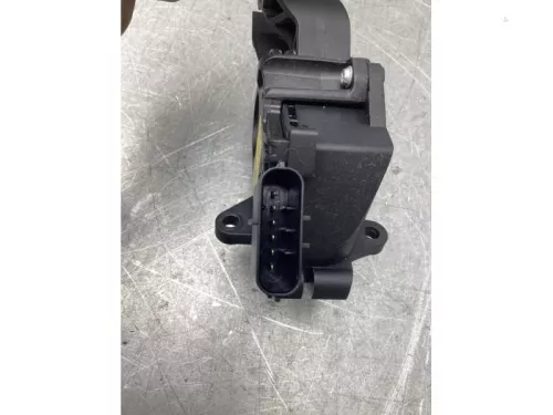 Gaspedaalpositie Sensor-8114314 (21080491)