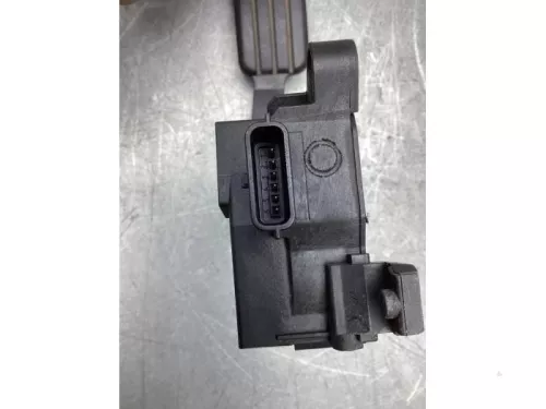 Gaspedaalpositie Sensor-8111101 (20670465)