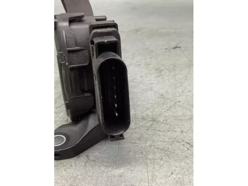 Gaspedaalpositie Sensor-7862882 (17224544)