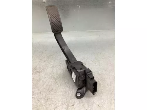 Gaspedaalpositie Sensor-7862882 (17224544)