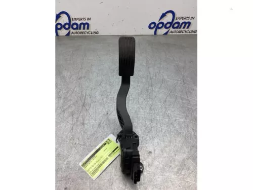 Gaspedaalpositie Sensor-8197743 (22575067)