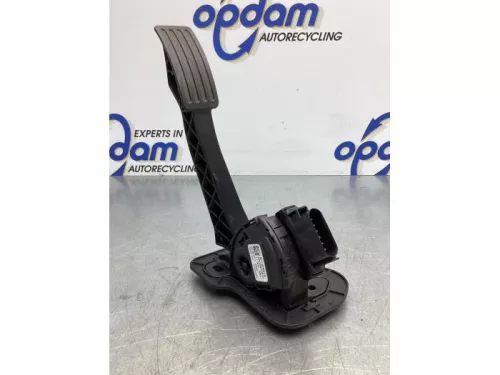 Gaspedaalpositie Sensor-7844984