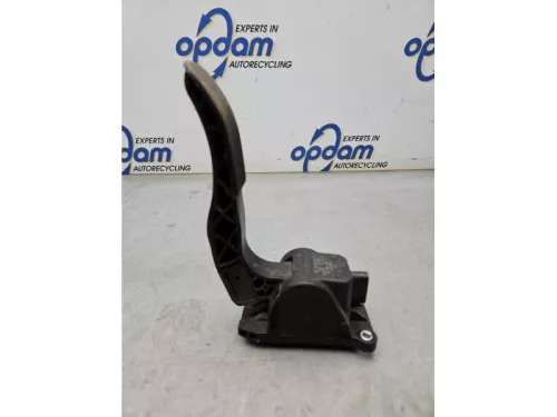 Gaspedaalpositie Sensor-8173331