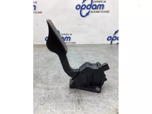 Gaspedaalpositie Sensor-7861671 (20209897)