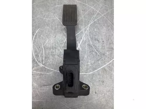 Gaspedaalpositie Sensor-8071014 (19393369)