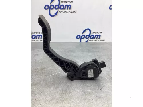 Gaspedaalpositie Sensor-7745318