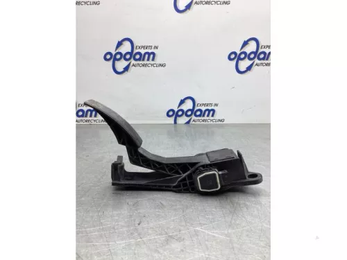 Gaspedaalpositie Sensor-7319858