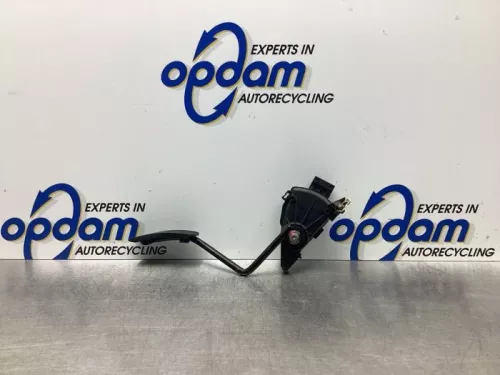Gaspedaalpositie Sensor-7926110 (17667601)