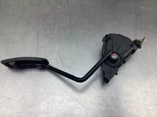 Gaspedaalpositie Sensor-7926110 (17667601)