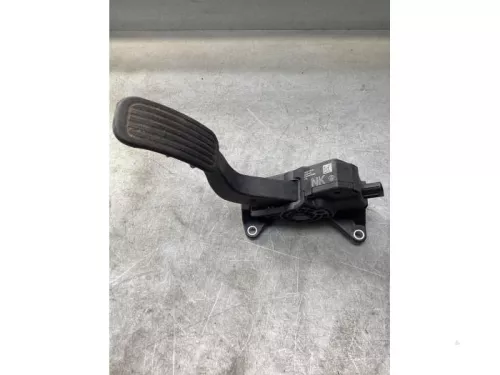 Gaspedaalpositie Sensor-8024932