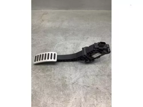 Gaspedaalpositie Sensor-8160577