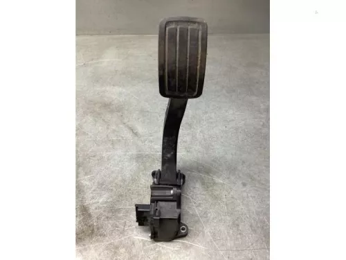 Gaspedaalpositie Sensor-8103469 (21539885)