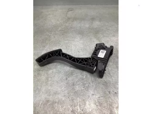 Gaspedaalpositie Sensor-8095361