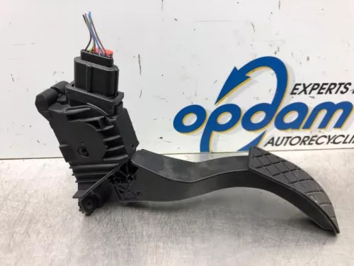 Gaspedaalpositie Sensor-6747991 (16932554)
