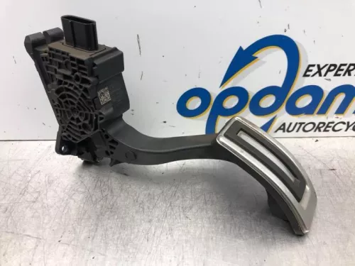 Gaspedaalpositie Sensor-7608824 (16532531)
