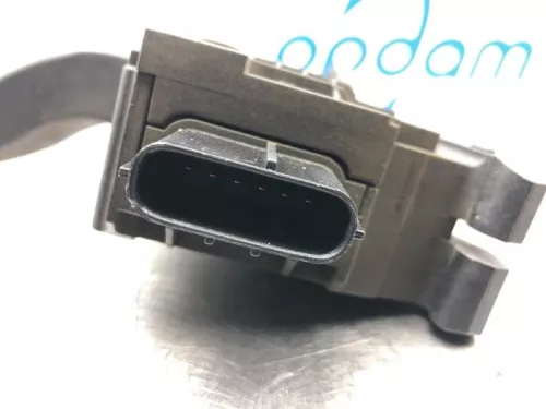 Gaspedaalpositie Sensor-7608824 (16532531)