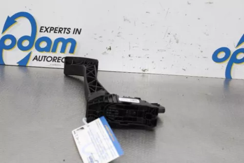 Gaspedaalpositie Sensor-6937811 (15769463)