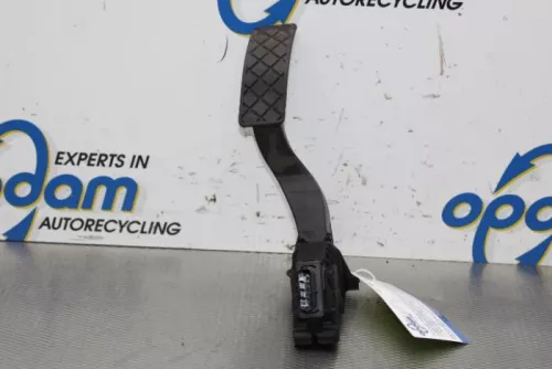 Gaspedaalpositie Sensor-6937811 (15769463)
