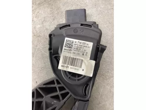 Gaspedaalpositie Sensor-8277389 (22057920)