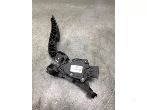Gaspedaalpositie Sensor-8051491 (21572209)