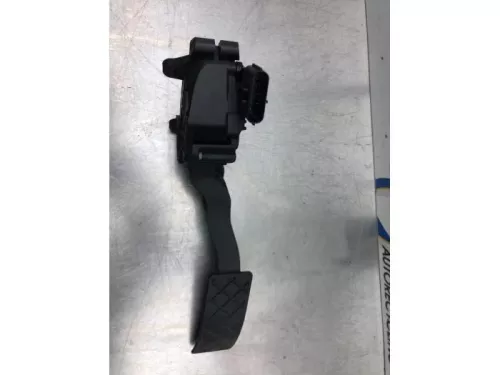 Gaspedaalpositie Sensor-6052245 (16861265)