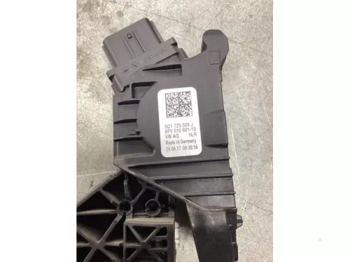 Gaspedaalpositie Sensor-7988267 (19039571)