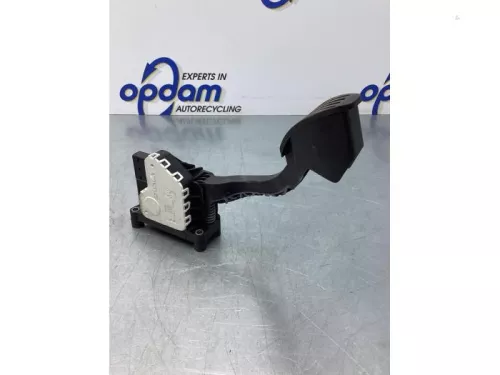 Gaspedaalpositie Sensor-6196849