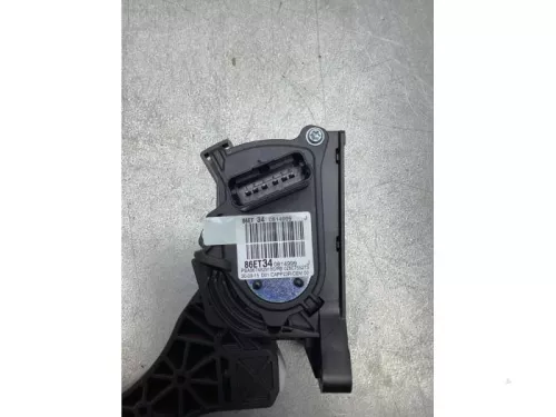 Gaspedaalpositie Sensor-6382526 (17198219)